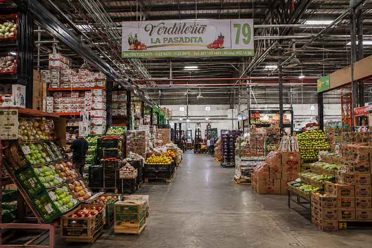comercializadora horizontal 02