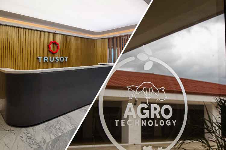 cards 2016 grupo trusot